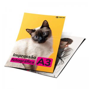 Impressão Foto A3 Papel Gloss Premium 21x29,7 4x0 Brilho  